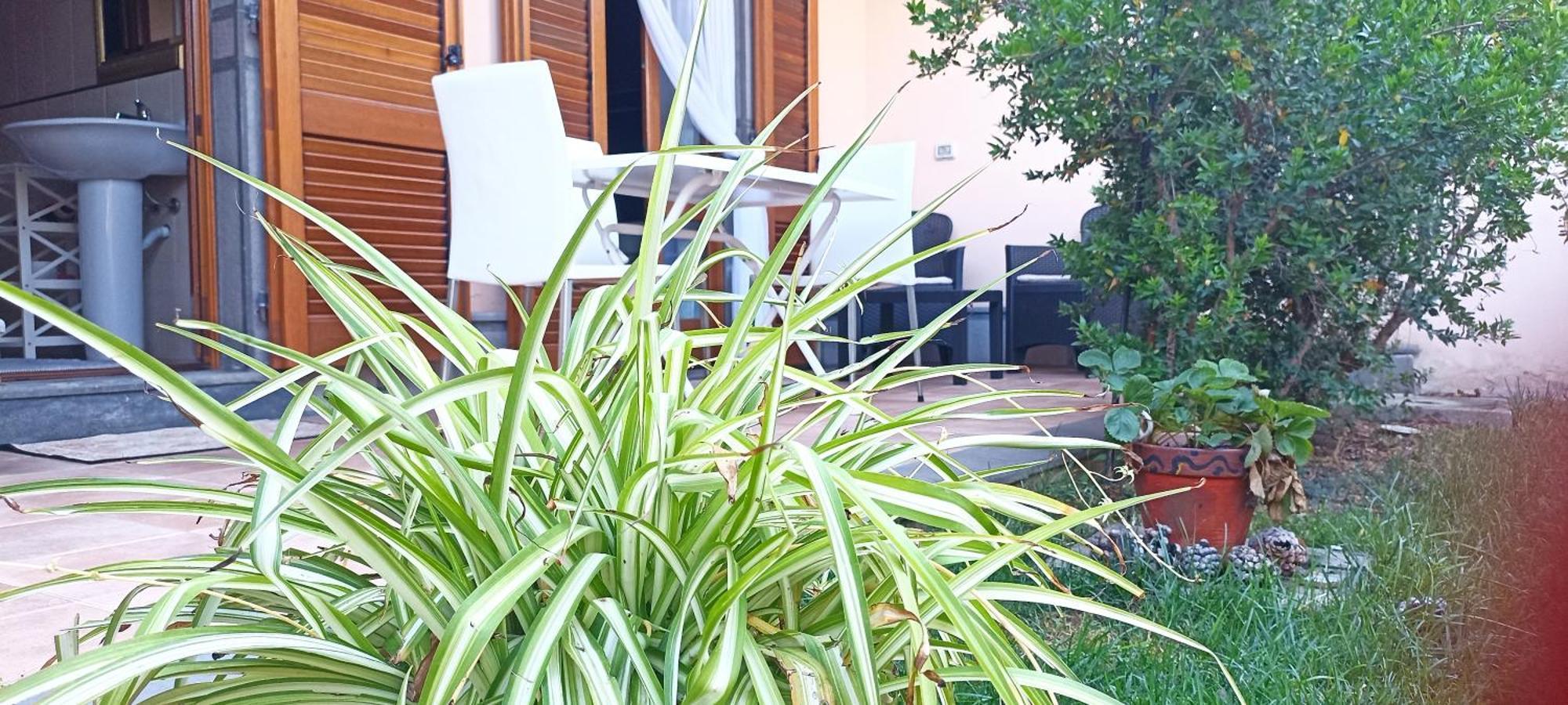 Casa Lilla 1 E 2 Apartment Oristano Ngoại thất bức ảnh